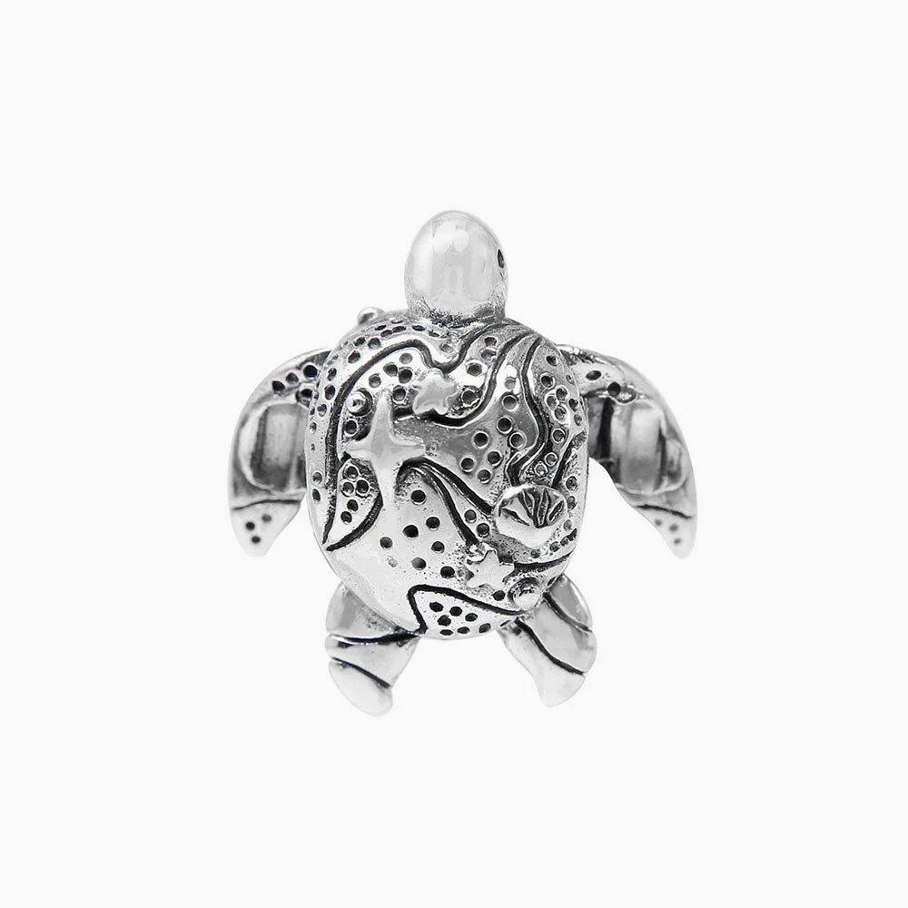 Elder Turtle